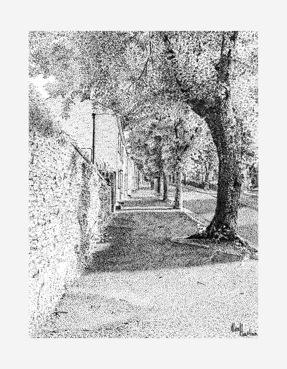 Killigrew Street - Alex Haxton - Beside The Wave