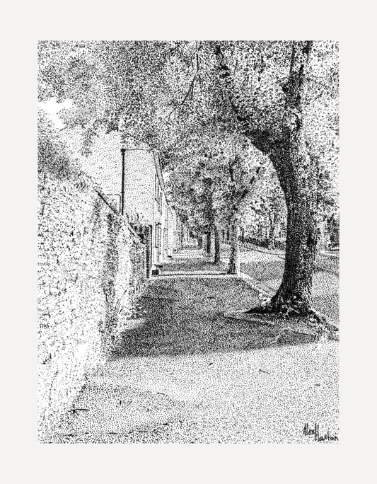 Killigrew Street - Alex Haxton - Beside The Wave
