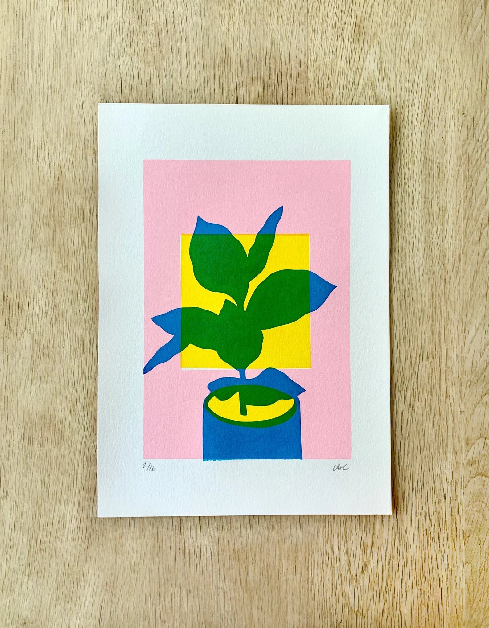 Layered House Plant - Alice Charman - Beside The Wave