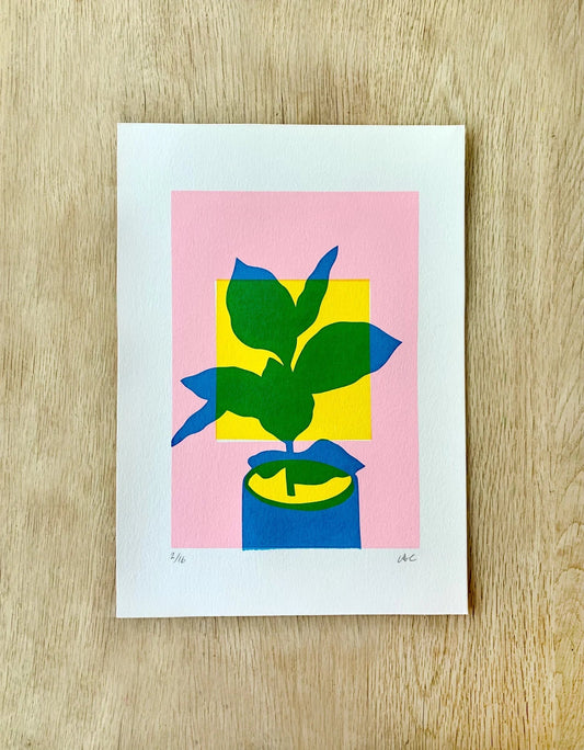 Layered House Plant - Alice Charman - Beside The Wave