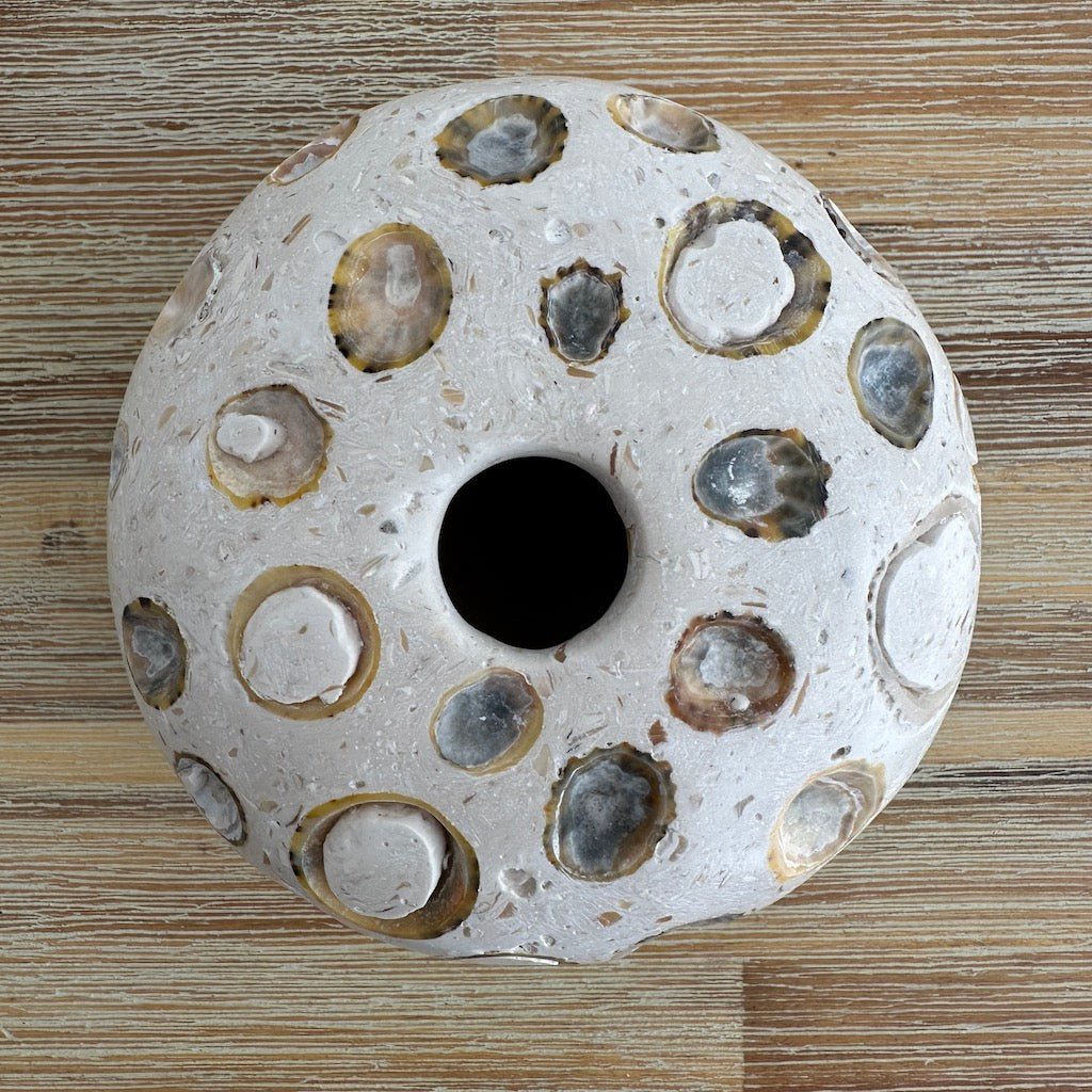 Limpet Pod Vase (Large) - Hazel Oliver - Beside The Wave
