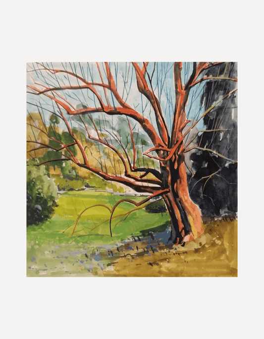 Magnolia, Trebah - Hugo Jones - Beside The Wave