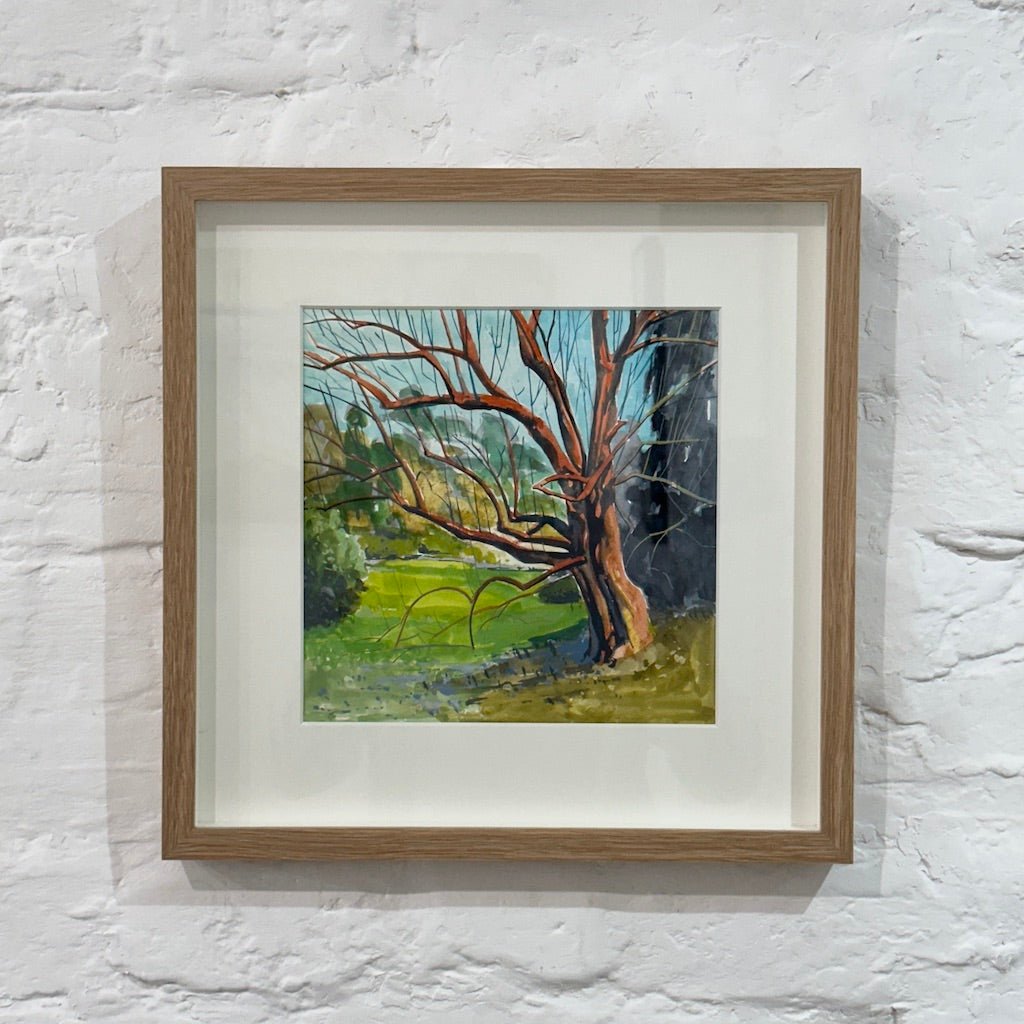 Magnolia, Trebah - Hugo Jones - Beside The Wave