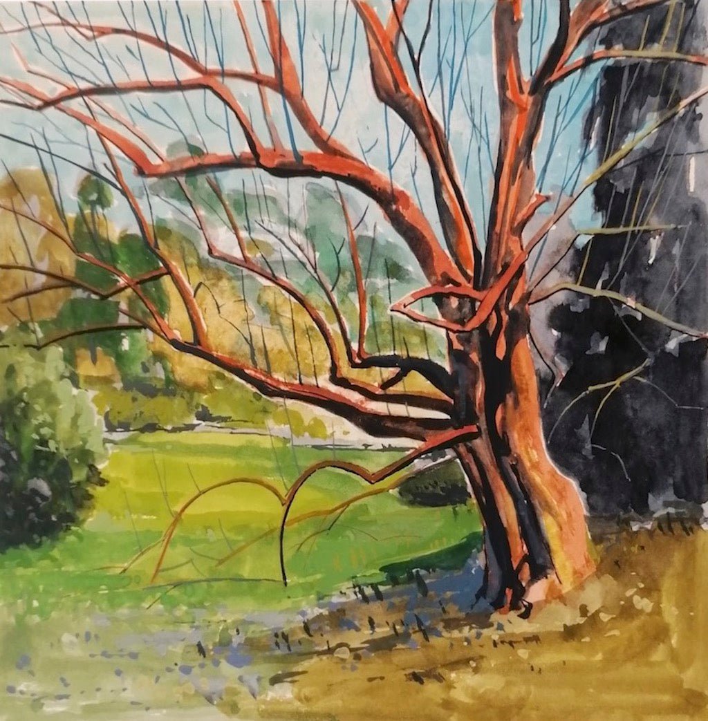 Magnolia, Trebah - Hugo Jones - Beside The Wave