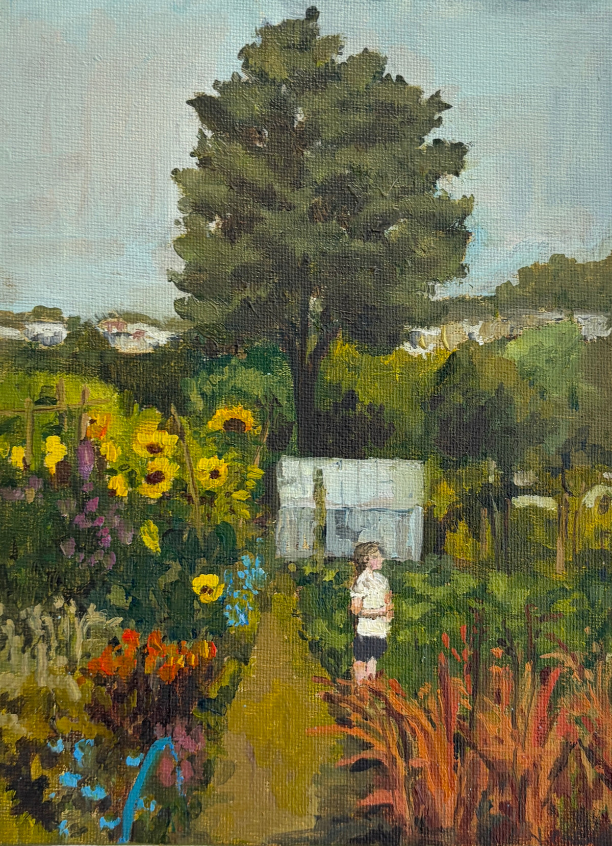 Allotment Daydreaming