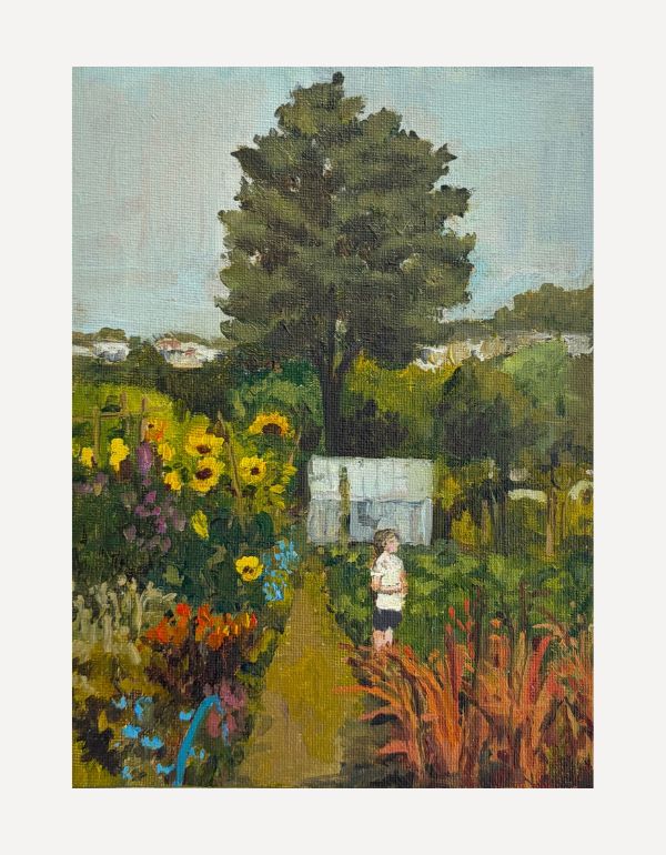 Allotment Daydreaming