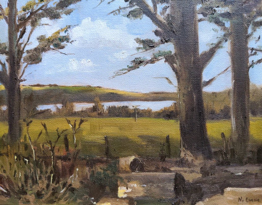 Nearly at Grebe - Nancy Crewe - Beside The Wave