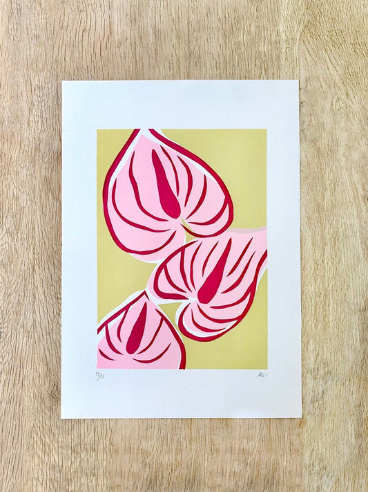 Pink Anthurium - Alice Charman - Beside The Wave