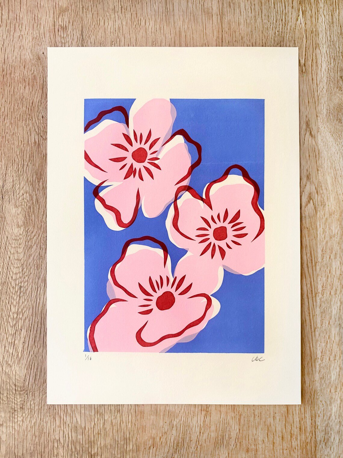 Pink Poppies - Alice Charman - Beside The Wave