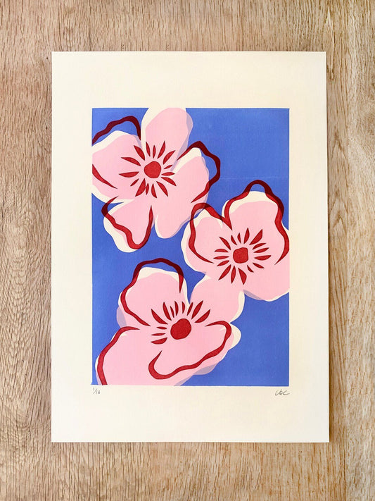 Pink Poppies - Alice Charman - Beside The Wave