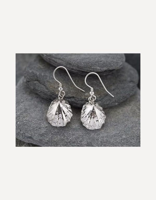 Polzeath Limpet drops - Emily Nott - Bower - Beside The Wave