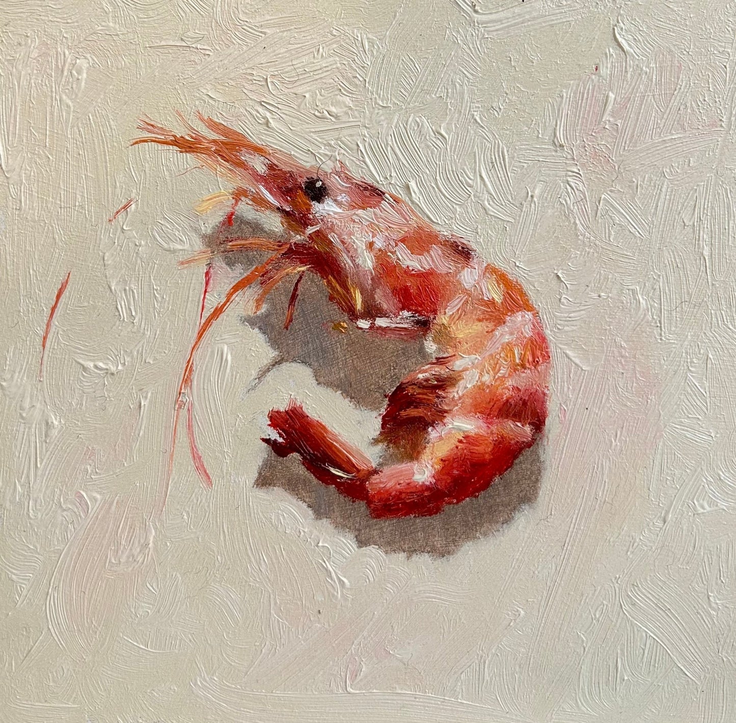 Prawn II - Johnty Robinson - Beside The Wave