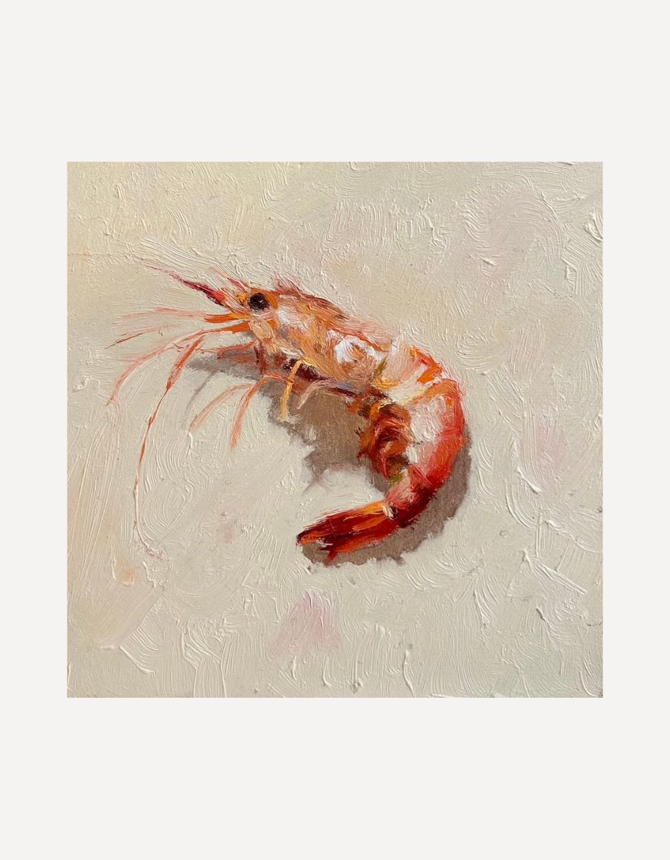 Prawn III - Johnty Robinson - Beside The Wave