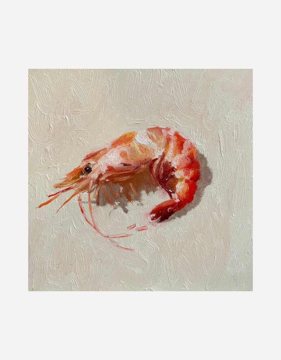 Prawn IV - Johnty Robinson - Beside The Wave