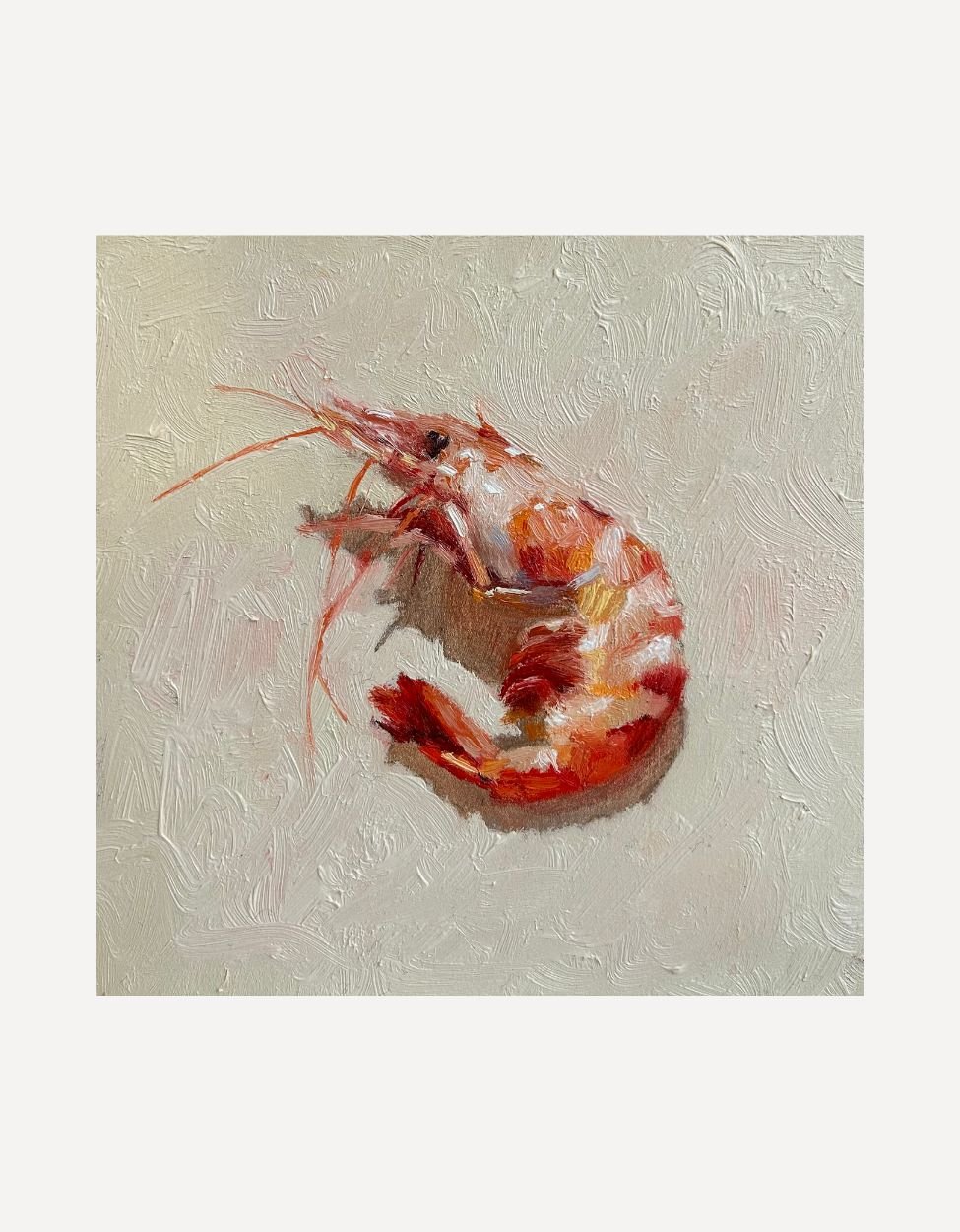 Prawn V - Johnty Robinson - Beside The Wave