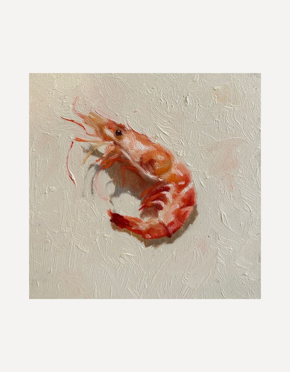 Prawn VI - Johnty Robinson - Beside The Wave