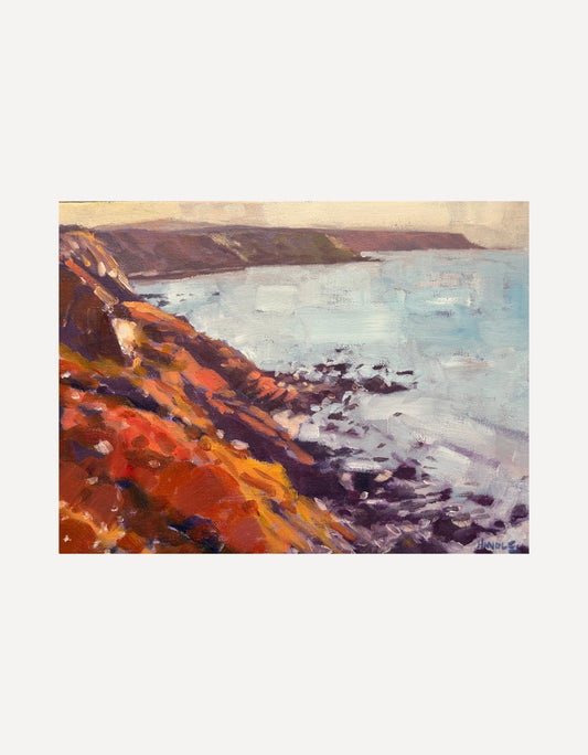 Rust Red Cliffs, North Coast - Mike Hindle - Beside The Wave