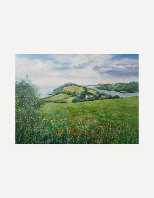 Meadow and Headland