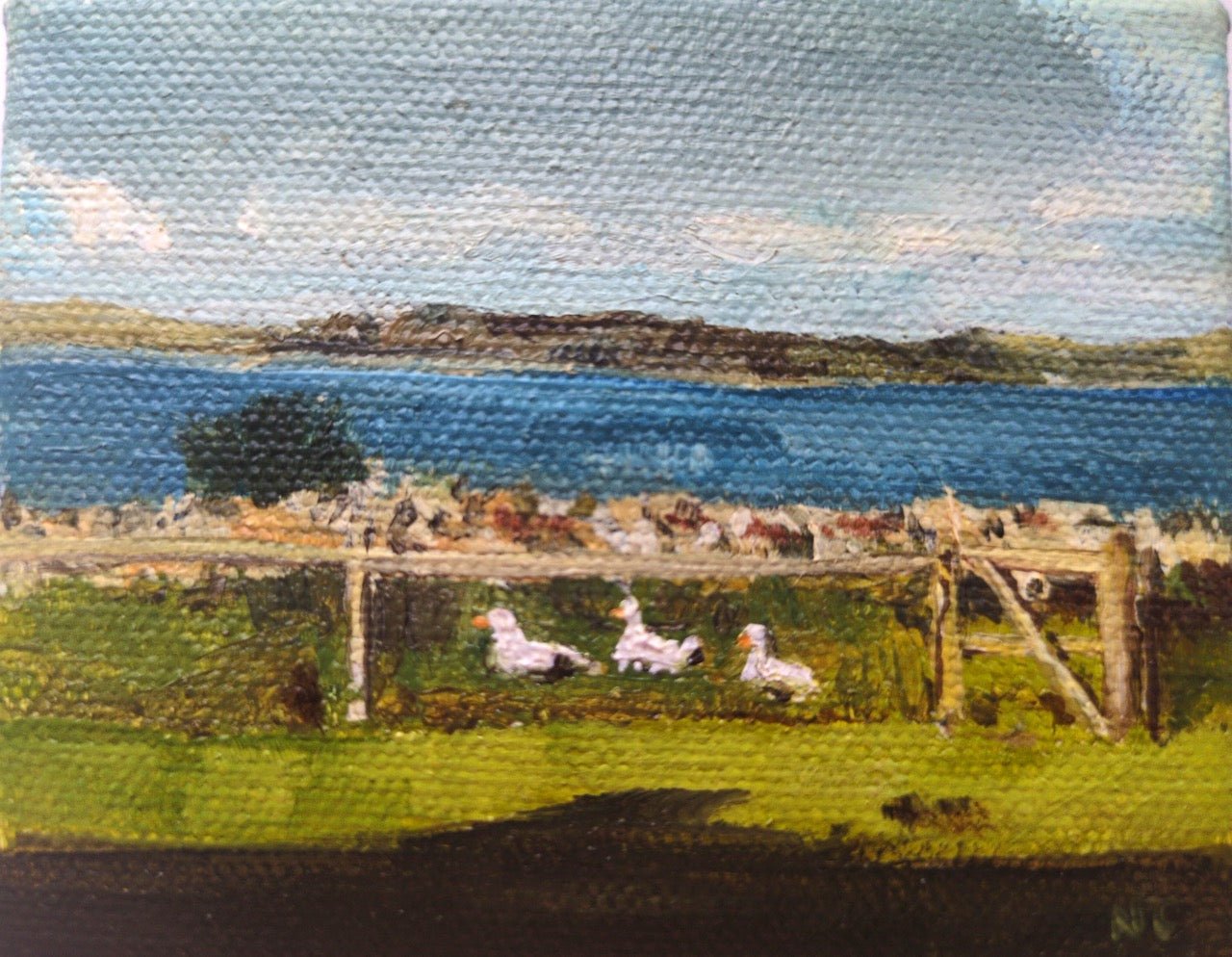 Scilly Ducks - Nancy Crewe - Beside The Wave