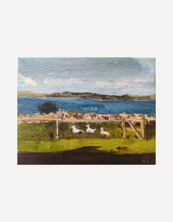 Scilly Ducks - Nancy Crewe - Beside The Wave