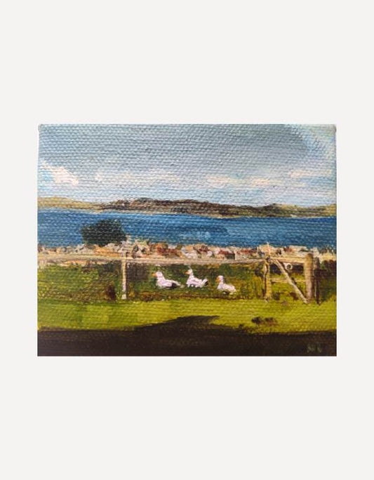 Scilly Ducks - Nancy Crewe - Beside The Wave