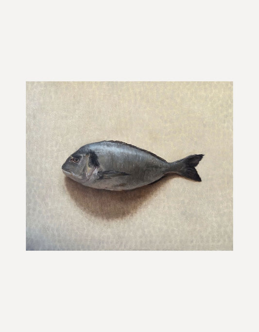 Sea Bream-Johnty Robinson-Beside The Wave