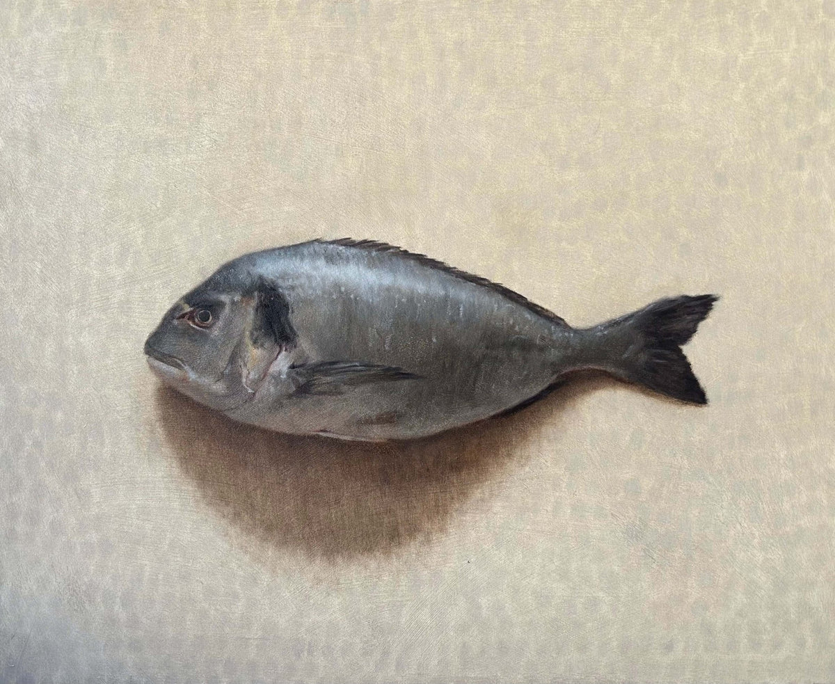 Sea Bream-Johnty Robinson-Beside The Wave