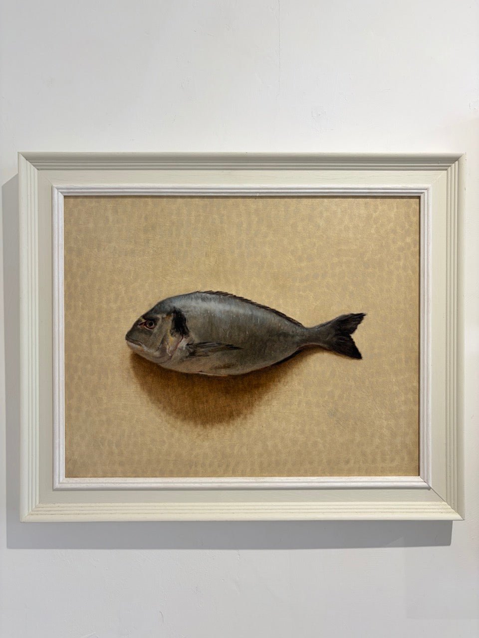Sea Bream-Johnty Robinson-Beside The Wave