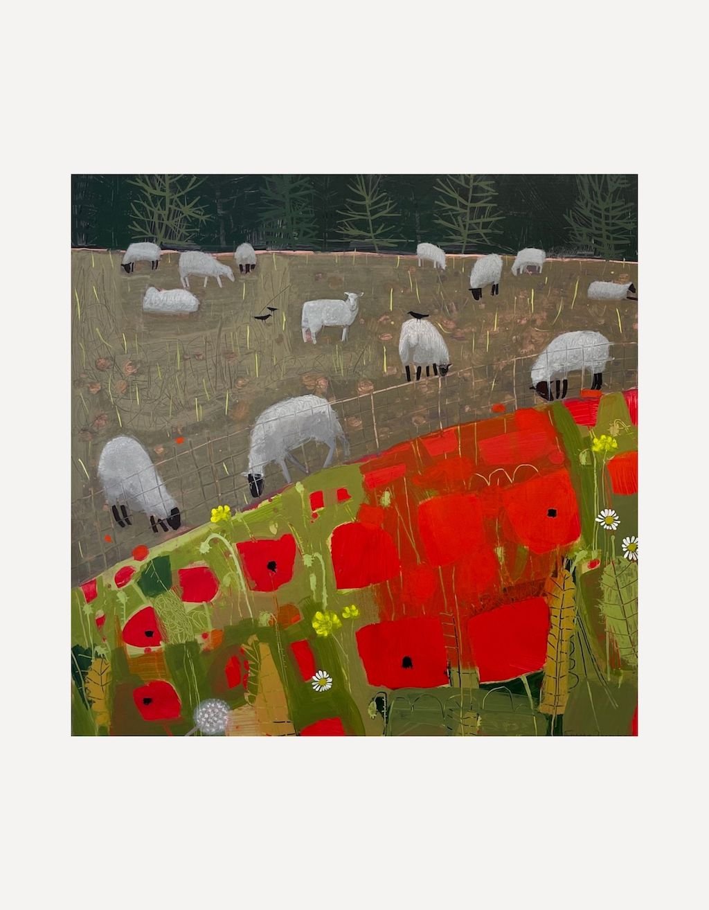 Sheep enjoying Turnips above a Poppy Field - Emma Dunbar - Beside The Wave