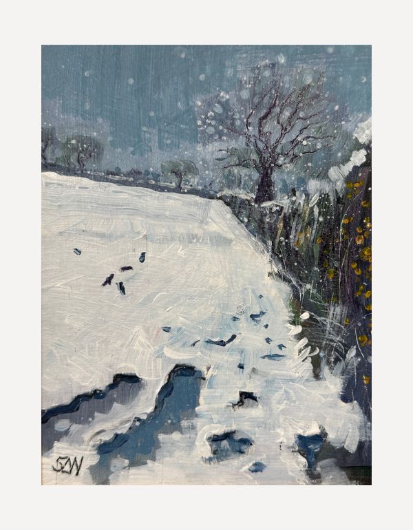 Snow, Crows and Gorse - Sarah Wimperis - Beside The Wave