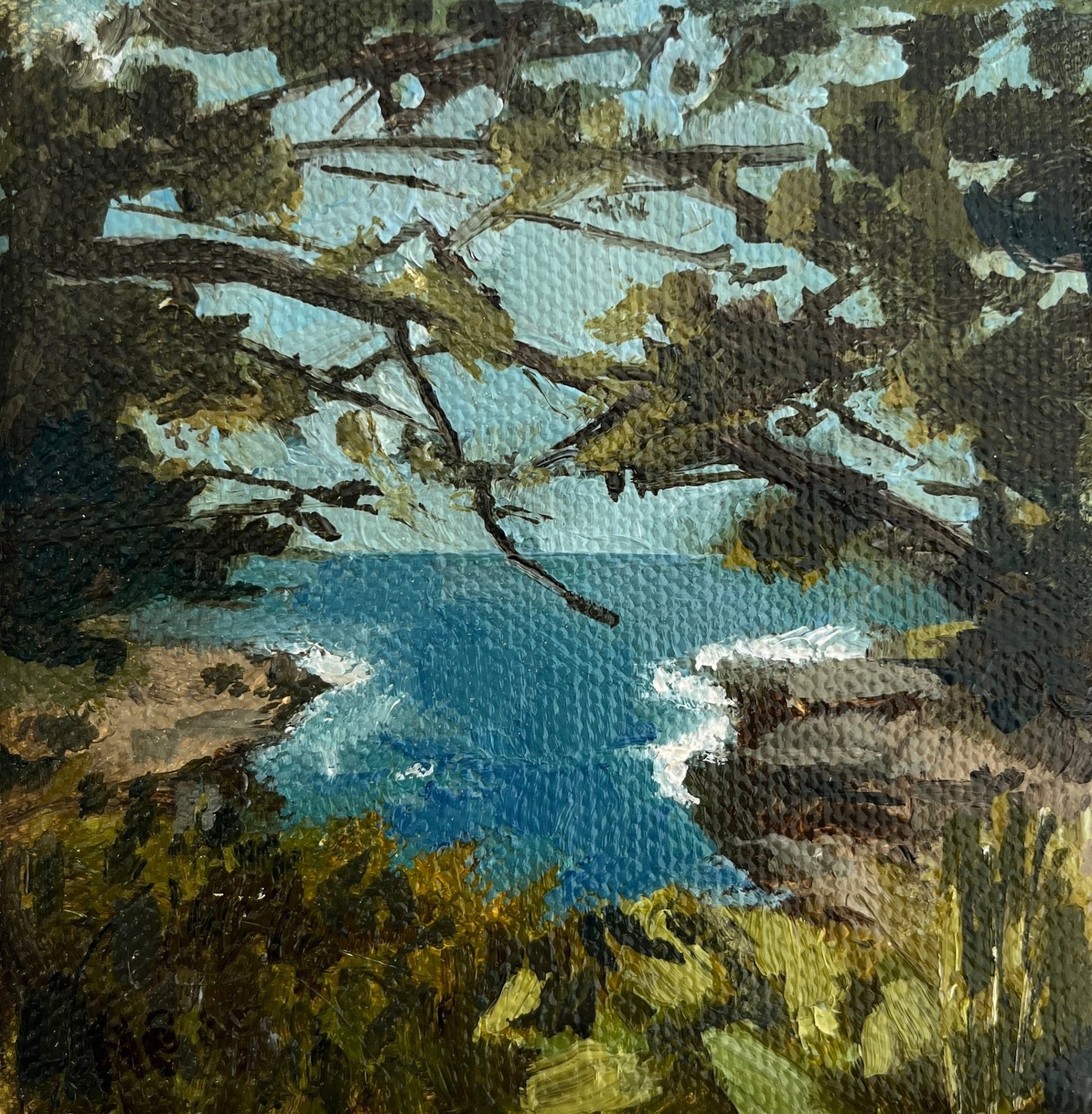 South Coast Dip - Nancy Crewe - Beside The Wave