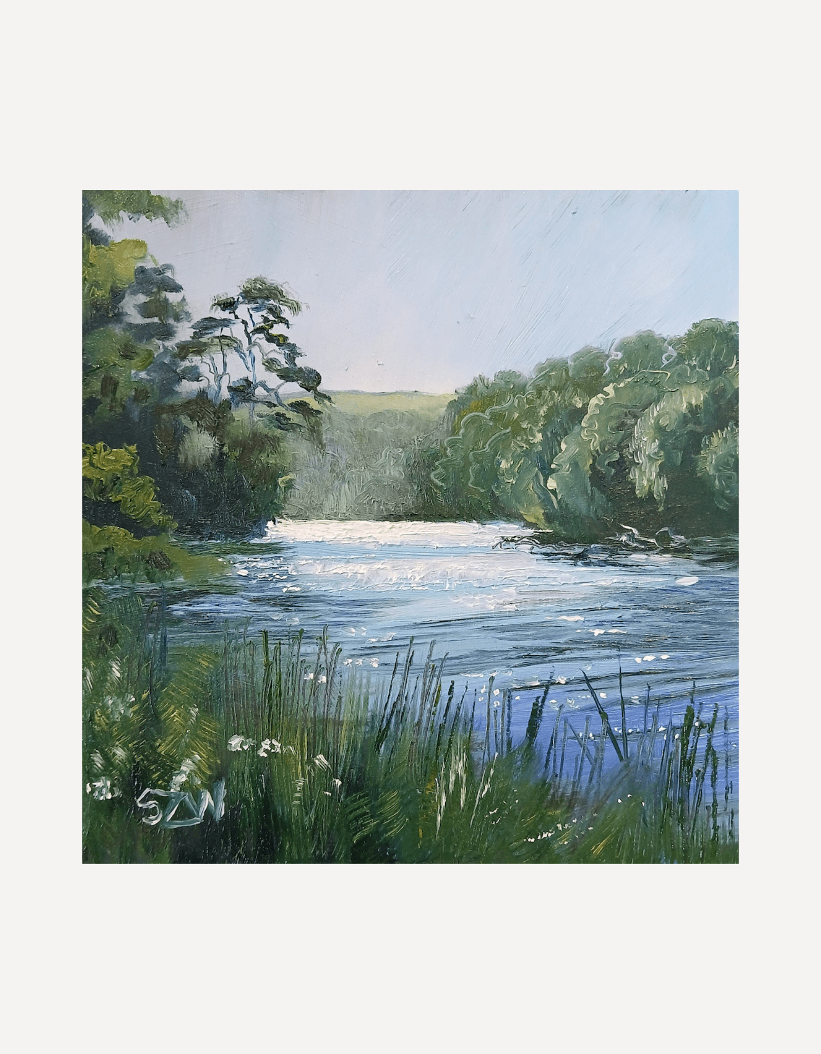 Spring Light Gillan Creek - Sarah Wimperis - Beside The Wave