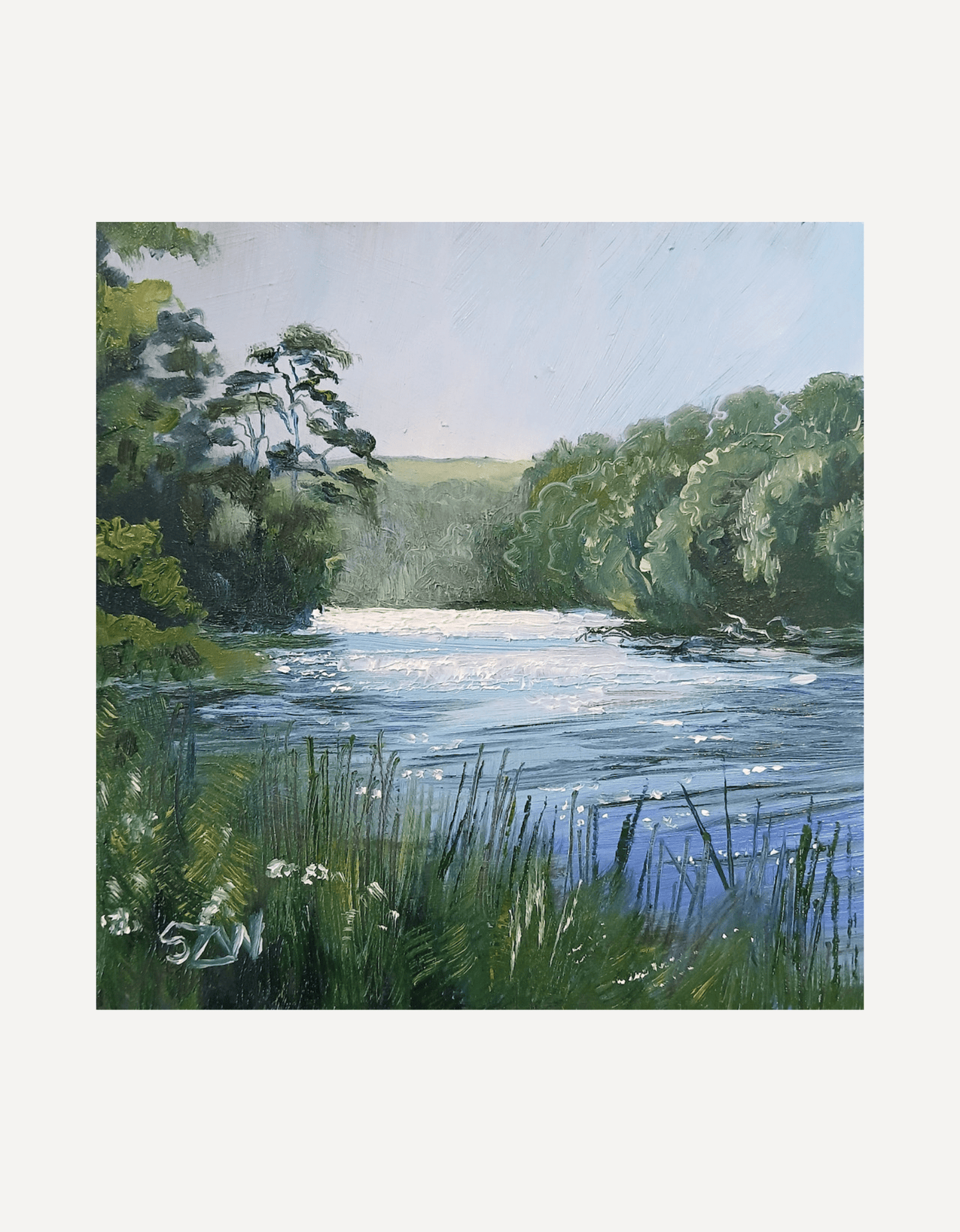 Spring Light Gillan Creek - Sarah Wimperis - Beside The Wave