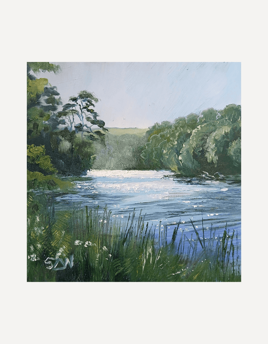 Spring Light Gillan Creek - Sarah Wimperis - Beside The Wave