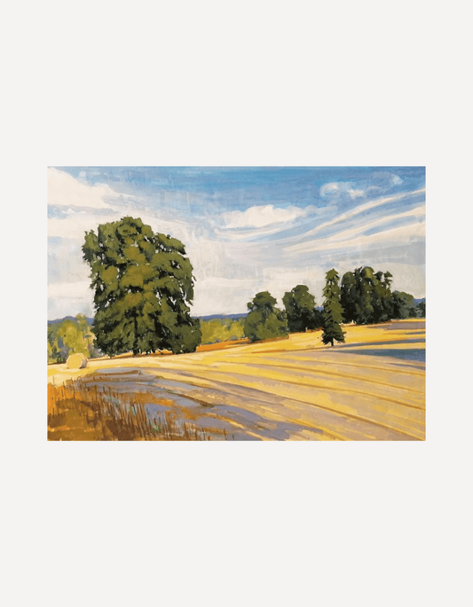 Trees, Enys Garden - Hugo Jones - Beside The Wave