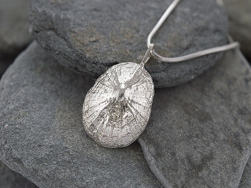 Watergate Bay Limpet Charm - Emily Nott - Bower - Beside The Wave