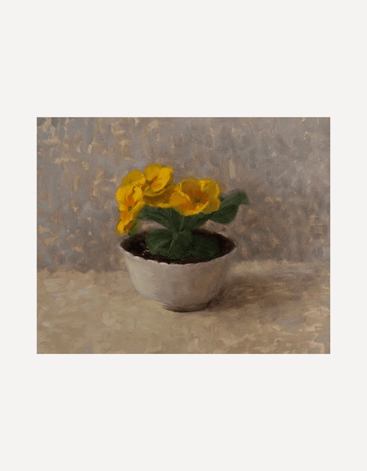 Yellow Primrose - Johnty Robinson - Beside The Wave